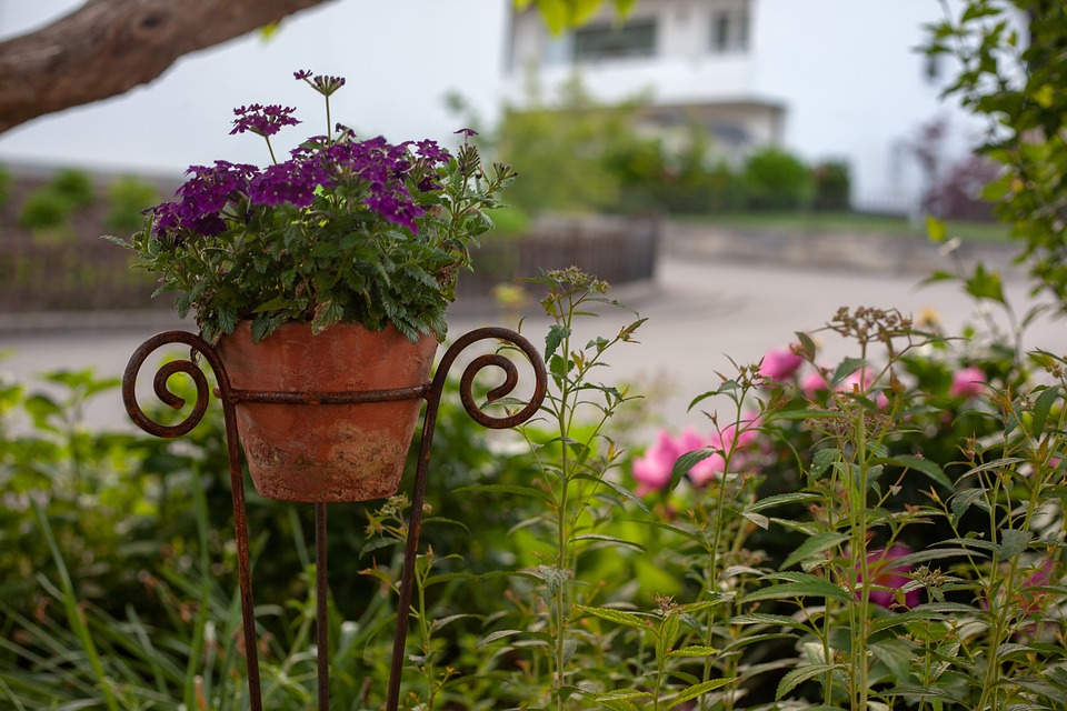 tuin beveiligd